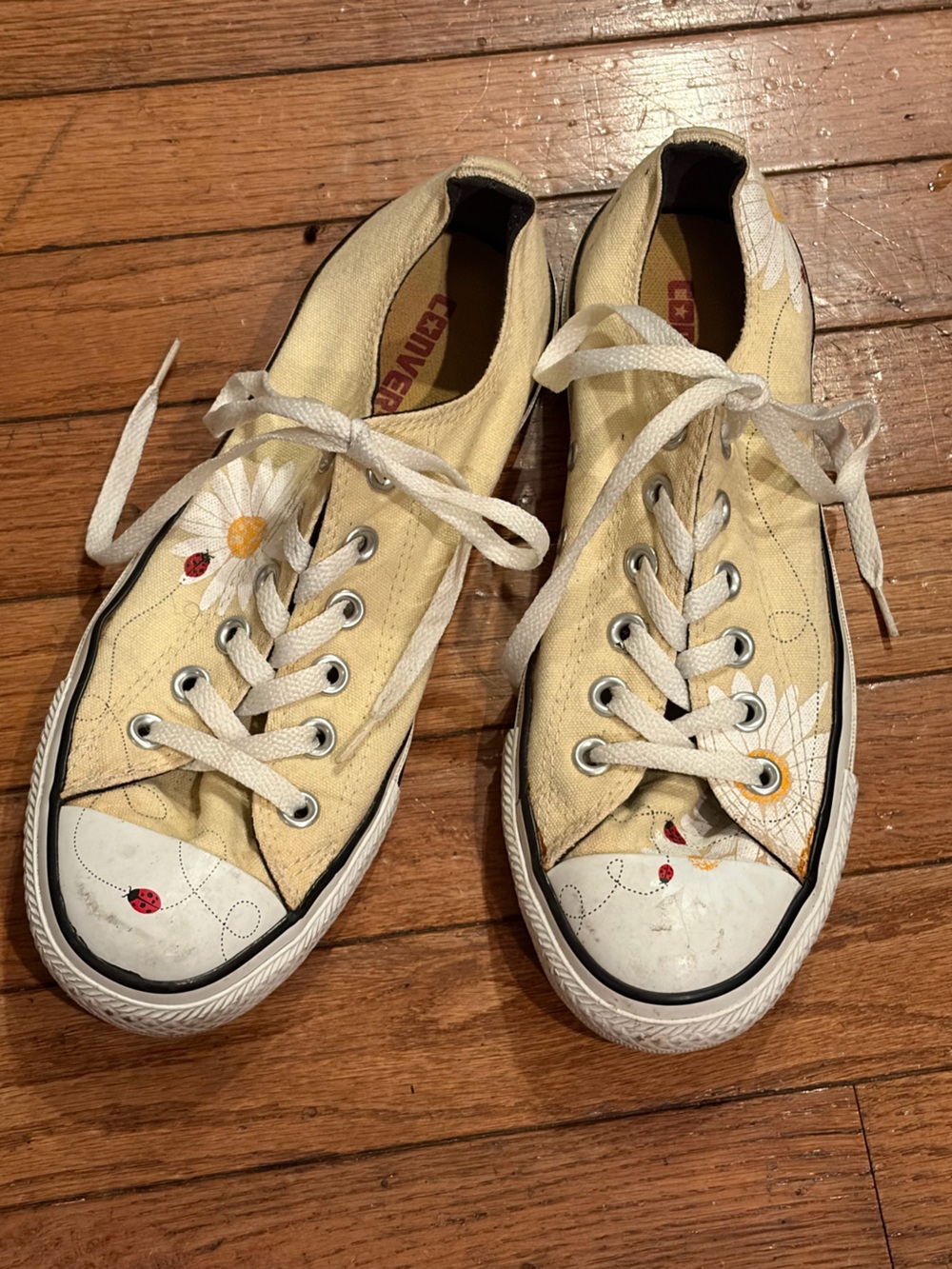 Chuck Taylor Converse All Stars with Daisy and Ladybug Print, size US women’s 9